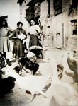 Che allegria in quella cascina tra galline, tacchini, oche e anatre (1940)