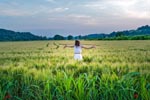 Dormi sepolta in un campo di grano