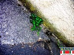 La radice - 3