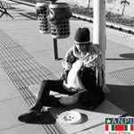 Nonostante tutto