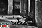 Combattere la solitudine