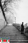 Distanza sociale