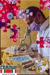 Puzzle della vita