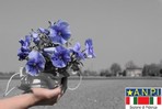 Son finiti i tempi grigi 