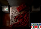 Insonnia