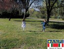La resilienza
