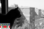 Tranquillitè d'esprit