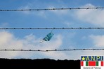 Resistere sempre
