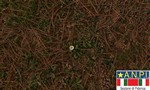 Social distancing