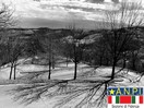 Verso la serenità