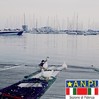 Papere al porto