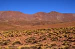 puna argentina