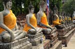 le statue gialle buddhiste di Ayutthaia 