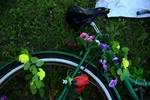 bicicletta fiorita