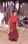 piccolo monaco