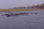 Chobe National Park