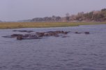 Chobe National Park