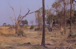 paesaggio del delta