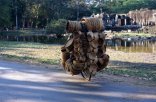 cycle and baskets