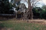 walking in Angkor