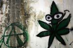 anarchia e marijuana