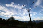 Consonno