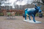 cow in the park
