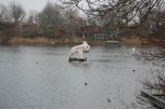 il lago di Christiania