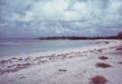 Cayo Guillermo