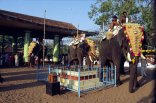 temple festival