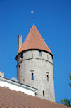 tower at Talinn