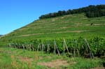 Eguisheim