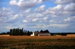 paesaggio di campagna