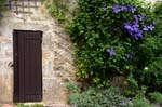 porta e fiori viola