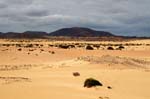 deserto