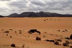 deserto