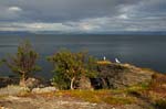 Cape North