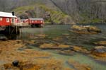 Nusfjord
