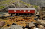 Nusfjord