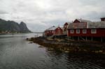 Reine