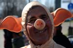 ritratto porcino