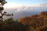 Bromo