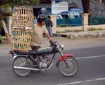 checken transportation