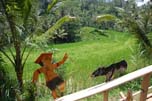 landascape and puppets