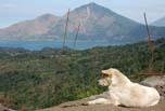 Lago Batur