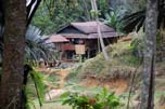 house in the forest