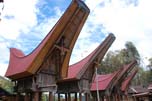 Toraja house