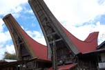 Toraja houses