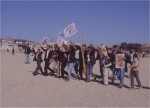 gli arrivi