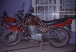 moto